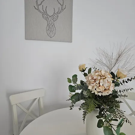 Апартаменты Park Бухарест